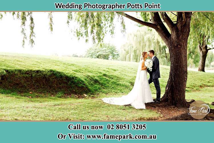 Bride and Groom under the tree Potts Point NSW 2011